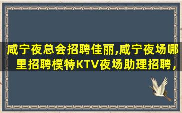 西藏夜场招聘